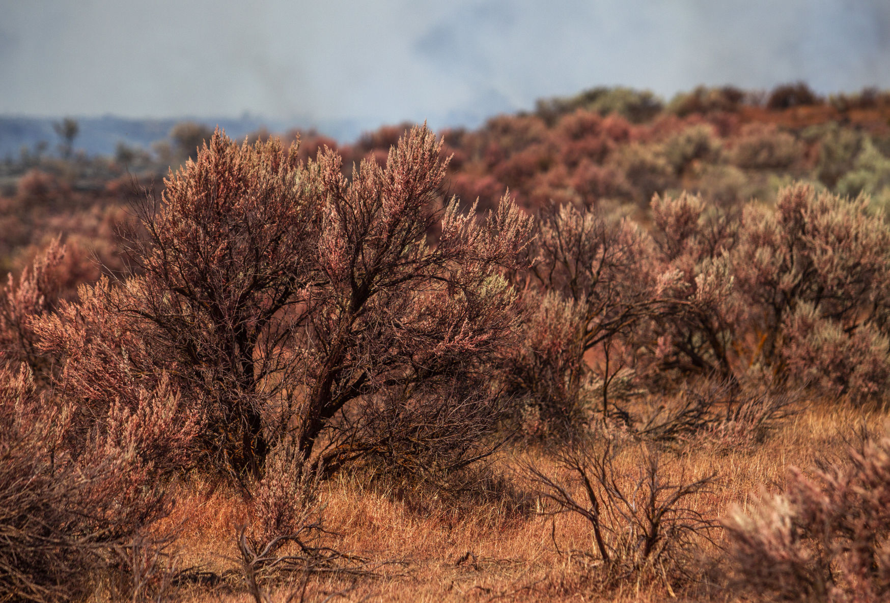 Drops Fire spreads more than 2,000 acres
